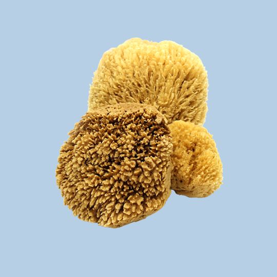 Naroa Exfoliating Natural Sponge for Bathing | Bath Sea Sponge for Healthy  Skin | Unbleached Shower Body Scrubber Puff | Eco Friendly Plastic Free