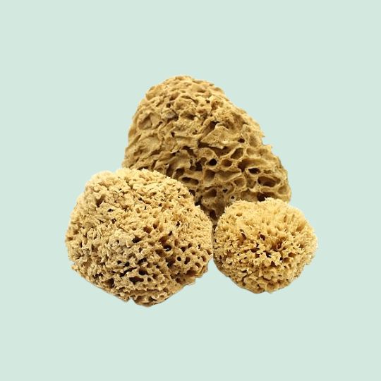 Givereldi Unbleached Honeycomb Natural Sea Sponge - Strong Type