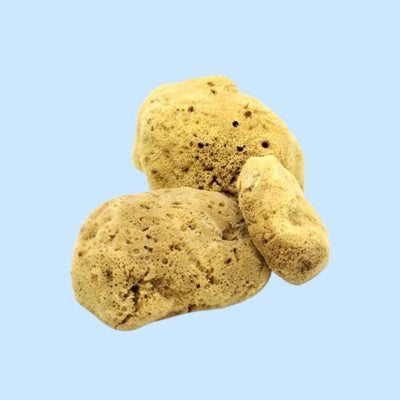 Natural Fine Silk Sea Sponge: Unbleached