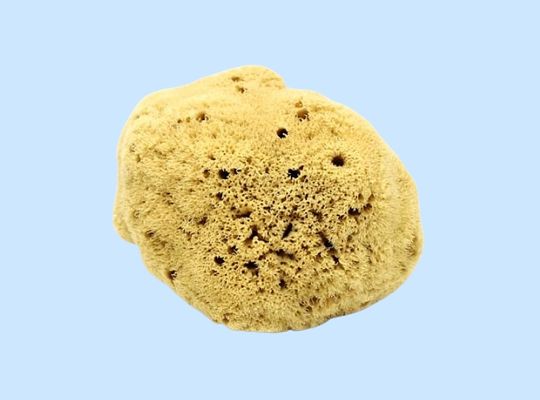 Natural Fine Silk Sea Sponge - Ecosophist