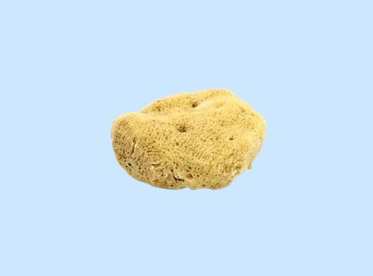 Natural Fine Silk Sea Sponge: Unbleached