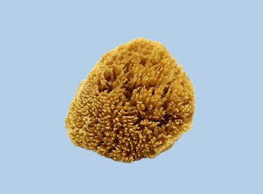 Natural Grass Sponge: Unbleached