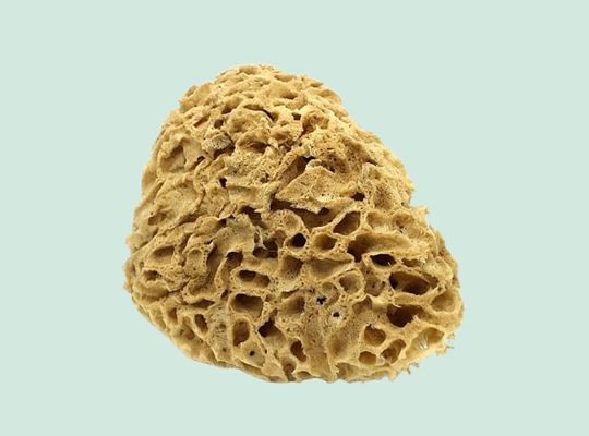 Natural Honeycomb Sea Sponge: Unbleached