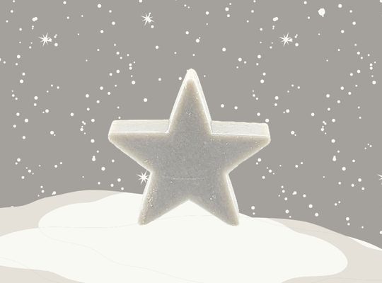 30g French Christmas Soap - Silver Star