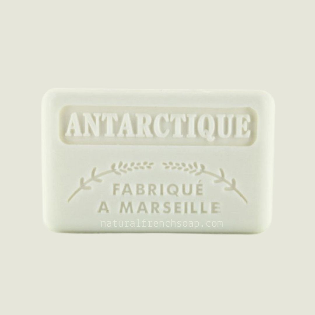 Antarctic French Soap - Antarctique Savonnette Marseillaise